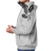 Ultimate Cotton ® Pullover Hooded Sweatshirt Thumbnail