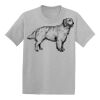 Youth EcoSmart ® 50/50 Cotton/Poly T Shirt Thumbnail