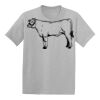 Youth EcoSmart ® 50/50 Cotton/Poly T Shirt Thumbnail