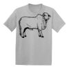 Youth EcoSmart ® 50/50 Cotton/Poly T Shirt Thumbnail