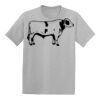 Youth EcoSmart ® 50/50 Cotton/Poly T Shirt Thumbnail