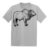 Youth EcoSmart ® 50/50 Cotton/Poly T Shirt Thumbnail