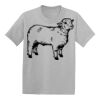 Youth EcoSmart ® 50/50 Cotton/Poly T Shirt Thumbnail