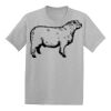 Youth EcoSmart ® 50/50 Cotton/Poly T Shirt Thumbnail