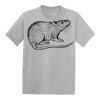 Youth EcoSmart ® 50/50 Cotton/Poly T Shirt Thumbnail